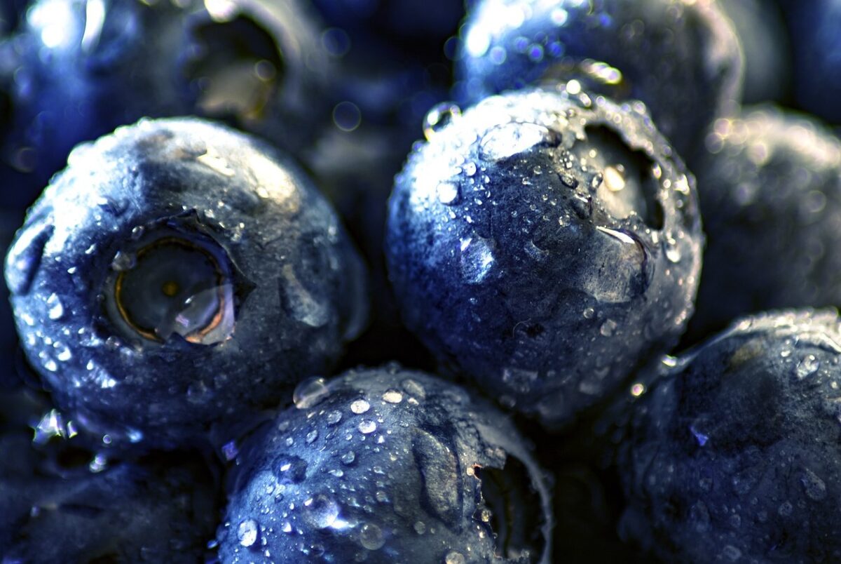 Blueberry properties for eye health